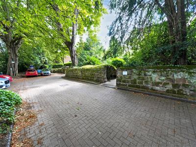Picture 19